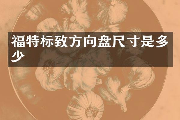 福特标致方向盘尺寸是多少