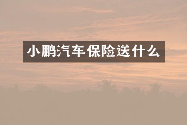 小鹏汽车保险送什么
