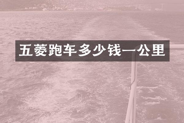 五菱跑车多少钱一公里