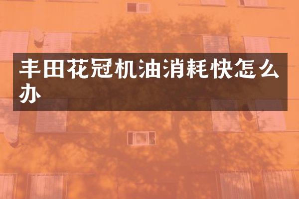丰田花冠机油消耗快怎么办