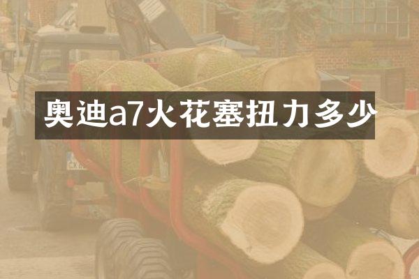 奥迪a7火花塞扭力多少