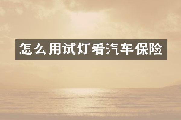 怎么用试灯看汽车保险