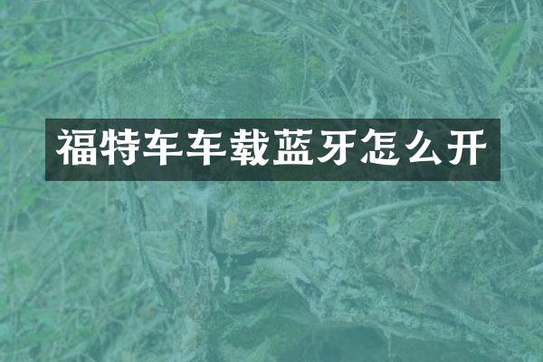 福特车车载蓝牙怎么开