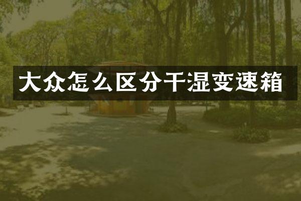 大众怎么区分干湿变速箱