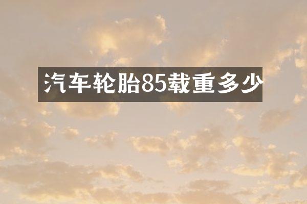 汽车轮胎85载重多少