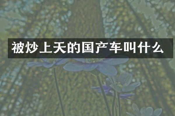 被炒上天的国产车叫什么