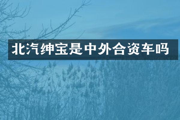 北汽绅宝是中外合资车吗