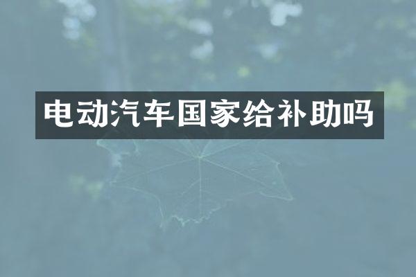 电动汽车国家给补助吗