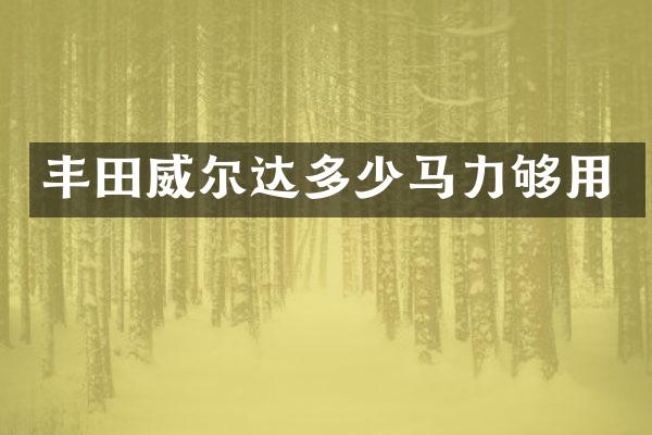 丰田威尔达多少马力够用