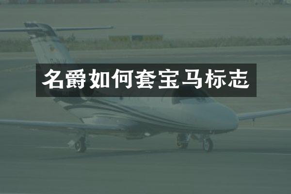 名爵如何套宝马标志