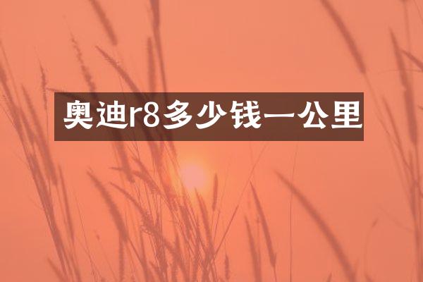 奥迪r8多少钱一公里
