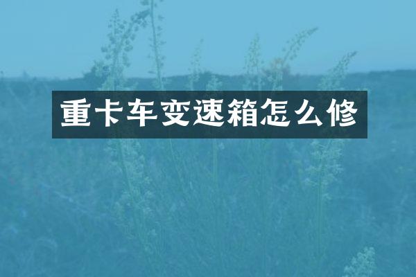 重卡车变速箱怎么修
