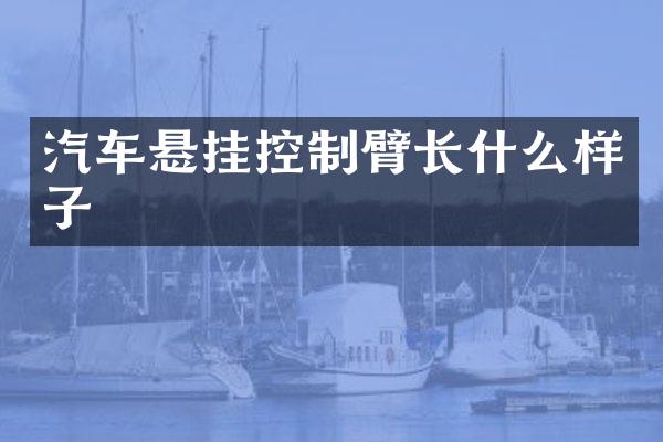 汽车悬挂控制臂长什么样子