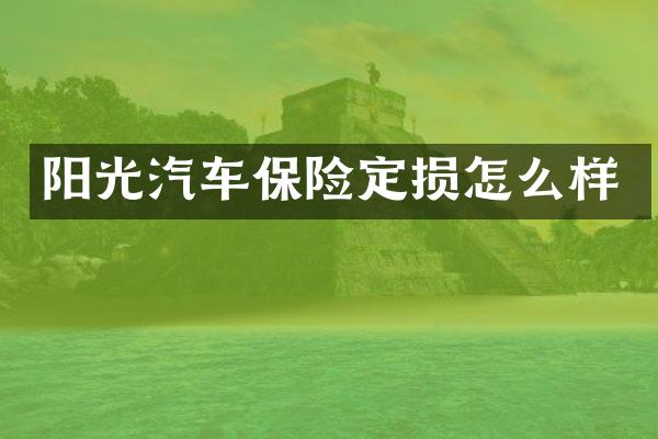 阳光汽车保险定损怎么样
