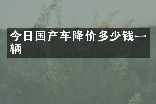 今日国产车降价多少钱一辆