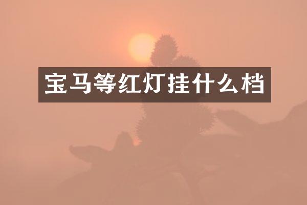 宝马等红灯挂什么档