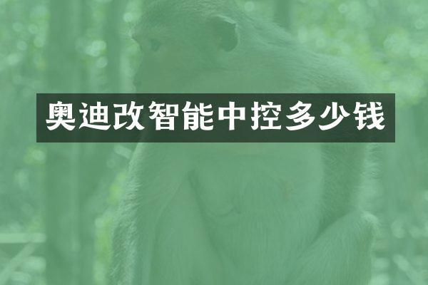 奥迪改智能中控多少钱