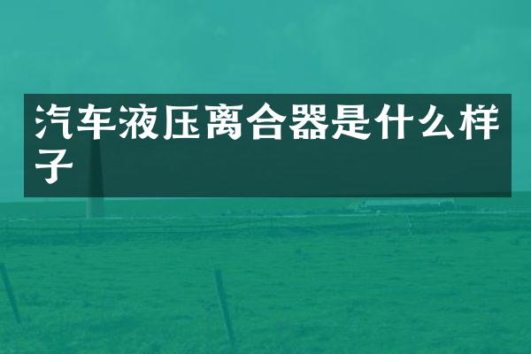 汽车液压离合器是什么样子