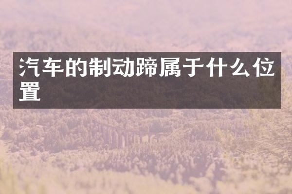 汽车的制动蹄属于什么位置