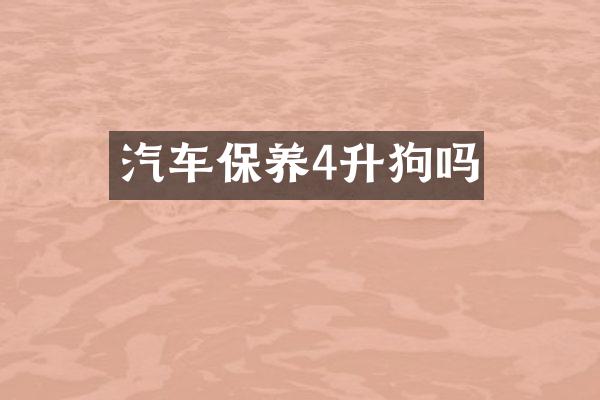 汽车保养4升狗吗