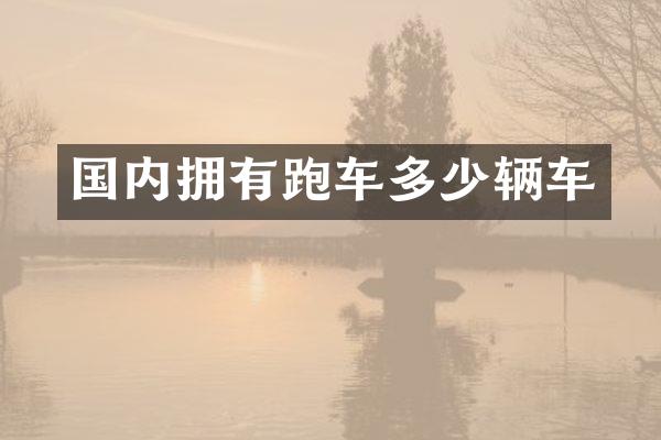 国内拥有跑车多少辆车