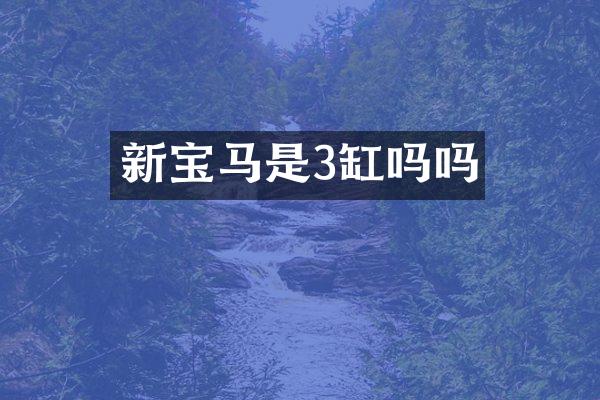 新宝马是3缸吗吗