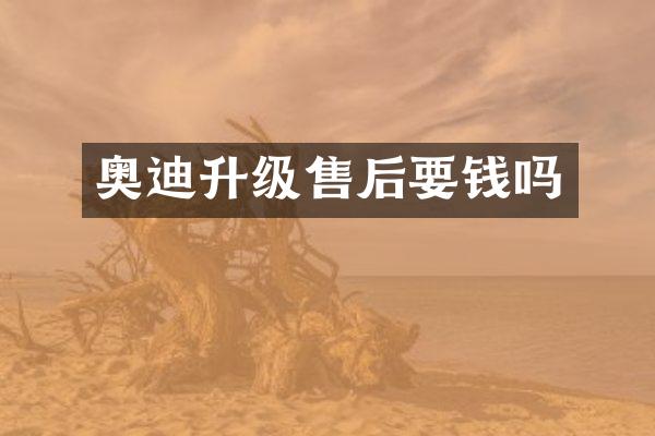 奥迪升级售后要钱吗