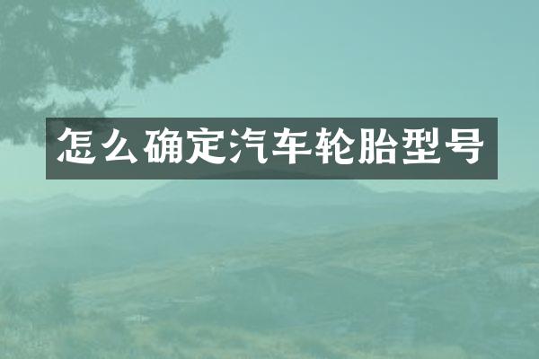 怎么确定汽车轮胎型号