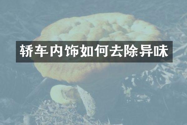 轿车内饰如何去除异味