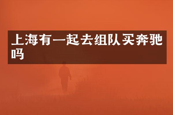 上海有一起去组队买奔驰吗
