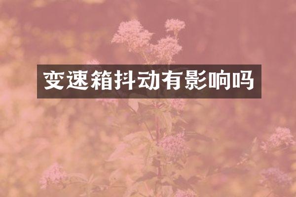 变速箱抖动有影响吗