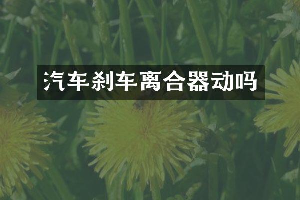 汽车刹车离合器动吗