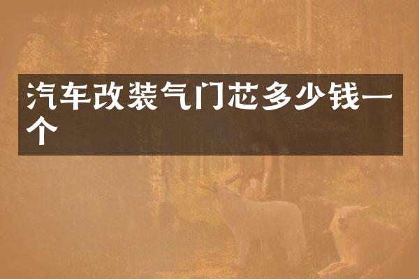 汽车改装气门芯多少钱一个