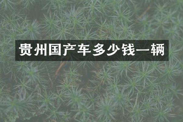 贵州国产车多少钱一辆