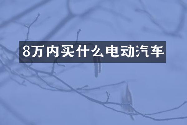 8万内买什么电动汽车
