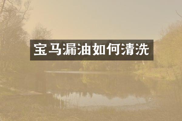 宝马漏油如何清洗