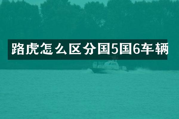 路虎怎么区分国5国6车辆