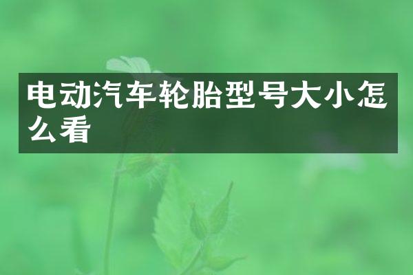 电动汽车轮胎型号大小怎么看