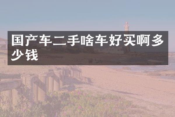 国产车二手啥车好买啊多少钱