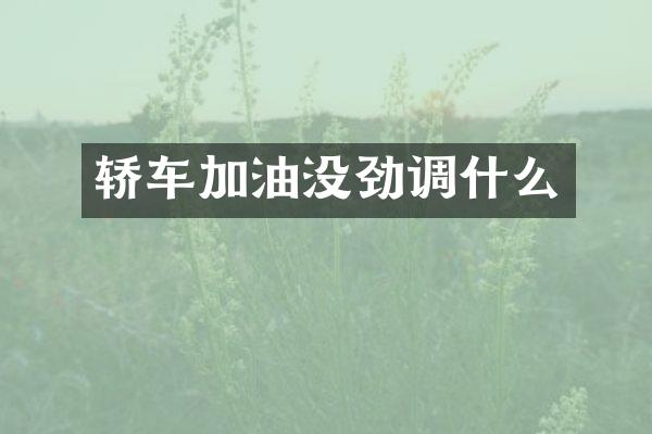 轿车加油没劲调什么