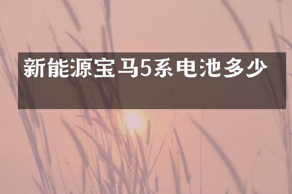 新能源宝马5系电池多少安