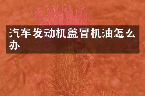 汽车发动机盖冒机油怎么办