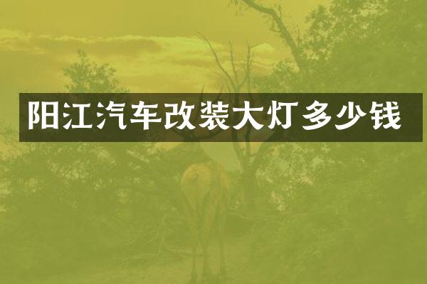 阳江汽车改装大灯多少钱