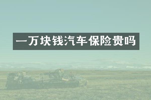 一万块钱汽车保险贵吗