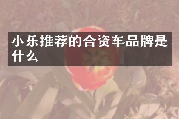 小乐推荐的合资车品牌是什么
