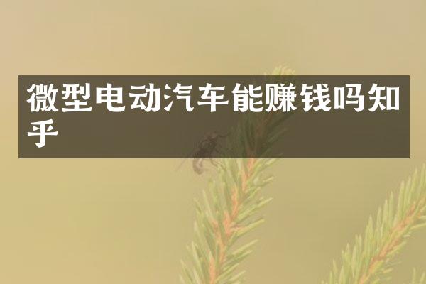 微型电动汽车能赚钱吗知乎