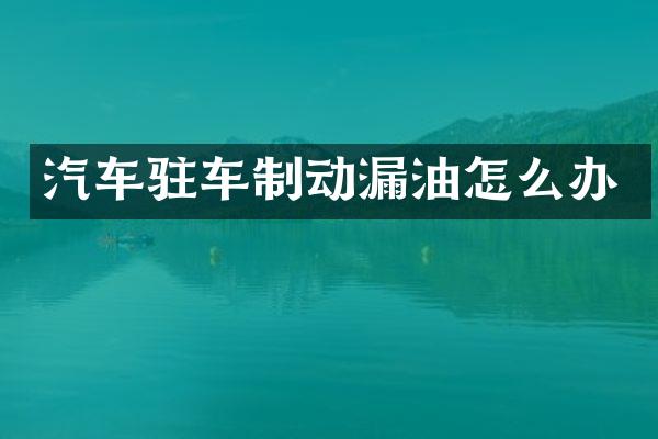 汽车驻车制动漏油怎么办