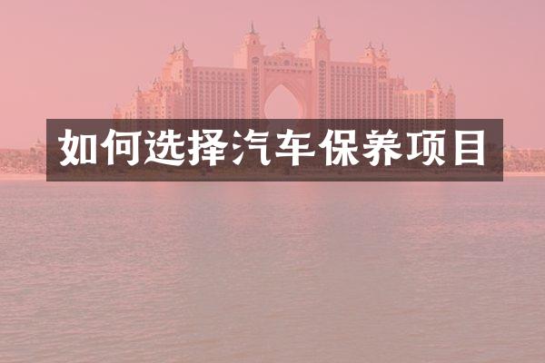 如何选择汽车保养项目