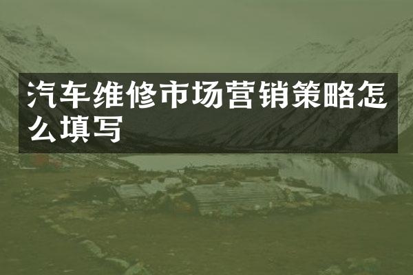 汽车维修市场营销策略怎么填写