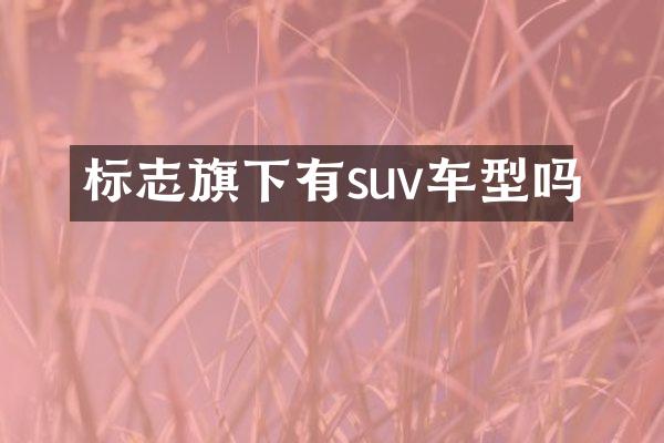 标志旗下有suv车型吗